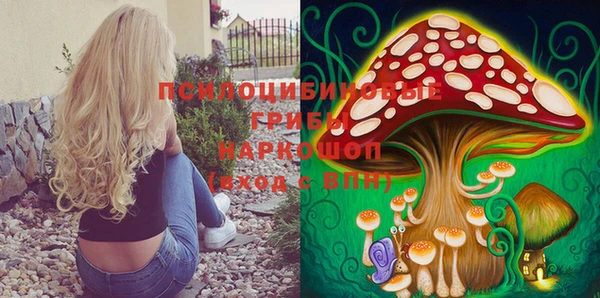 мяу мяу мука Абинск