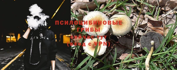 стафф Абдулино