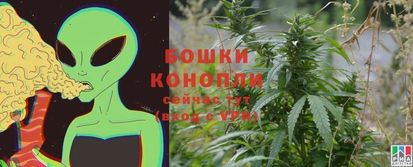 прущие крисы Дубовка