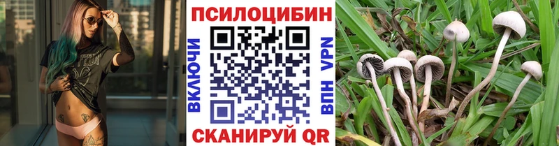 купить наркотики цена  Карабаново  Псилоцибиновые грибы Cubensis 