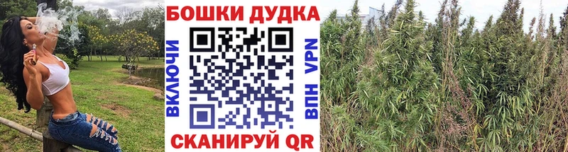 купить закладку  Карабаново  hydra сайт  Конопля конопля 